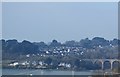 Housing estate across the Tamar