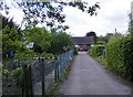 Allotment Gardens