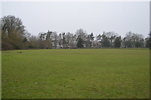 TL8562 : Sports pitches, Hardwick Heath by N Chadwick