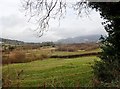 Drumlins and wet woodland on the valley floor south of Dromintee