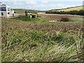 Towards South Milton Ley