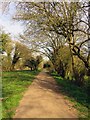 Footpath by Simpson Bridge