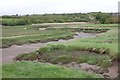 Creeks and coastal grazing marsh, Loughour estuary