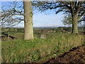 Kemphill Trig Pillar