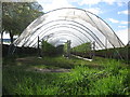 Looking up a polytunnel