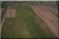 TF3707 : Crop marks in field between Parson Drove and Murrow: aerial 2018 by Chris