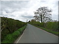 Moor Lane, Murton Moor