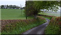 Lane and field near Dollynwydd