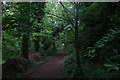 View of the path through the trees in the Gunnersbury Triangle Nature Reserve