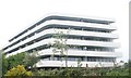 View of flats in the Chiswick Point development from Gunnersbury Triangle Nature Reserve #3