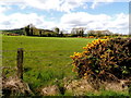 Cormore Townland