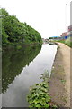 Trees and containers by the Bridgewater Canal