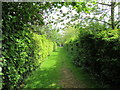 Bridleway at Grange Farm