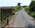 Country lane near Park Heath