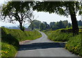 Country lane towards Lower Camp Farm