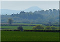 Countryside near Fernhill