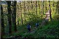 North Devon : Footpath