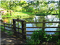 SJ5758 : Mill Pond at Bunbury Mill by John M