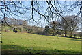 Southern slopes of Kit Hill