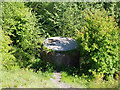 Shaft South of the Leeds - Liverpool Canal at Pennington Flash