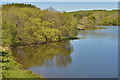 West side of Llyn Frongoch, in May