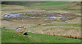 SO0446 : Boggy areas and pools east of Pant y Llyn by Andrew Hill