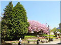 Garden at the top of Pateley Bridge High Street