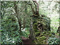 Pathway through rock cutting