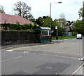 High Street speed bump, Fleur-de-lis