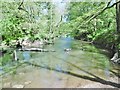 Alton, River Churnet