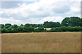 Hay field near The Field House