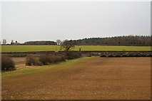 TL8165 : Farmland by Newmarket Rd by N Chadwick