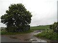 Field by Shillington Road, Pirton