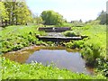 Outflow from the lake at Hutton-in-the-Forest