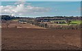 Recently sown fields by The Temple