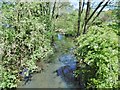 Upper Tean, River Tean