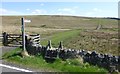 NY8488 : Pennine Way heads over the moors by Russel Wills
