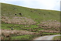 ST1188 : Hillside, Mynydd Meio Common by M J Roscoe