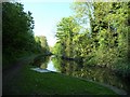 Rushall Canal, between locks 4 and 3