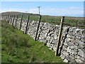 Wall and fence at Lossit