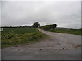 Farm track in Pirton