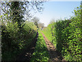 Back Lane, Kelsall