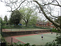 SY6990 : West Walks tennis courts by John Stephen