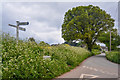 East Devon : Blueball Cross