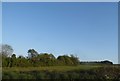 Field by Westbury Road, Cheverell