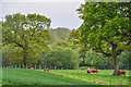 East Devon : Grassy Field