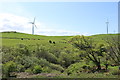 Farmland at the Windfarm