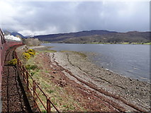 NN0677 : View from a Fort William-Mallaig train - Camas Cruinn, Loch Eil by Nigel Thompson