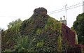 Foliage-Clad House, Burton, Wiltshire 2011