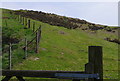 Gate onto the Carneddau access land